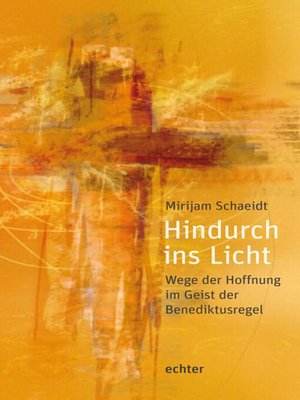 cover image of Hindurch ins Licht